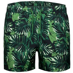 Bjrn Borg Badeshorts Herren Dunkelgrün/Grün