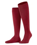 FALKE Kniestrümpfe ClimaWool Dunkelrot/Rot/Bordeaux/Lila FALKE Kniestrümpfe ClimaWool Dunkelrot/Rot/Bordeaux/Lila