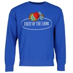 Fruit of the Loom Sweatshirt mit Vintage-Logo Dunkelblau/Blau/Rot/Mischfarben