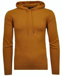 V-Ausschnitt-Pullover mit Kaputze