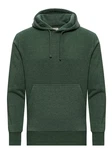 WOTEGA Kapuzenpullover Sweat Hoodie Lion 