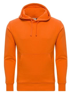 WOTEGA Kapuzenpullover Sweat Hoodie Lion
