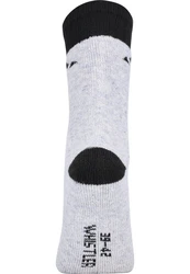 WHISTLER Socken Waverlou Grau/Schwarz/Hellgrau/Grün