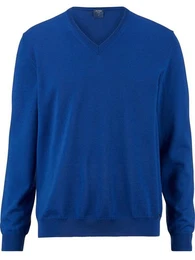 Strickpullover 0150/10 Pullover