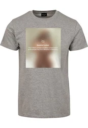 Mister Tee T-Shirt Sensitive Content Tee Grau/Hellgrau/Beige/Braun