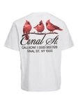 Jack & Jones Kurzarmshirt JORTEAM WATERCOLOR TEE SS CREW NECK Rot