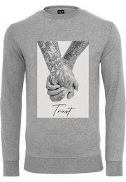 Rundhalspullover Herren Trust 2.0 Crewneck (1-tlg)