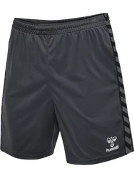 hummel Shorts hmlAUTHENTIC PL SHORTS Asphalt