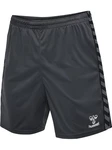 hummel Shorts hmlAUTHENTIC PL SHORTS Asphalt