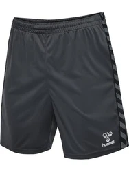 hummel Shorts hmlAUTHENTIC PL SHORTS Asphalt