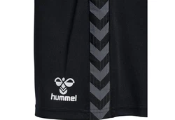 hummel Shorts hmlAUTHENTIC PL SHORTS Schwarz