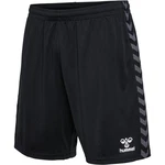 hummel Shorts hmlAUTHENTIC PL SHORTS Schwarz