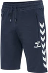 hummel Shorts Dunkelblau/Blau