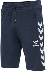 hummel Shorts Dunkelblau/Blau