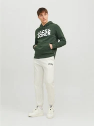 Jack & Jones Sweatshirt JJECORP LOGO SWEAT HOOD (3478) grn/wei