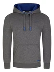 DENIMFY Kapuzenpullover Hoodie DFBenno Regular Fit Sweatshirt Dunkelblau/Dunkelgrau/Grau