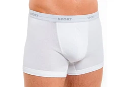 HERMKO Hipster Herren Pant Boxershorts (8950) 8950