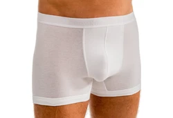 HERMKO Hipster Herren Pant Boxershorts (8950) 8950
