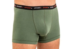 HERMKO Hipster Herren Pant Boxershorts (8950) 8950