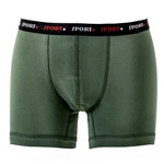 HERMKO Hipster Herren Pant Boxershorts (8950) 8950