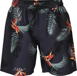 Badeshorts Maron-AO Men Swimshort TITANIUM
