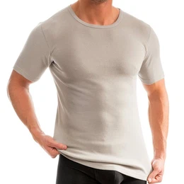 Unterziehshirt 3840 Herren Business Shirt aus 100% Bio-Baumwolle, kurzarm Unterhemd