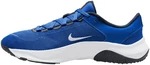 Nike LEGEND ESSENTIAL 3 Trainingsschuh Hellblau/Blau