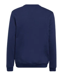 adidas Performance Sweatshirt Entrada 22 