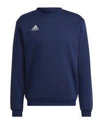 adidas Performance Sweatshirt Entrada 22 