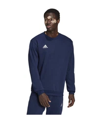 adidas Performance Sweatshirt Entrada 22 