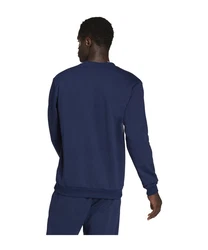 adidas Performance Sweatshirt Entrada 22 