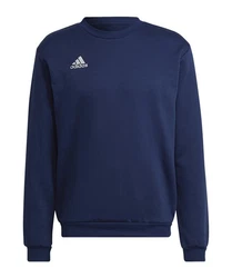 adidas Performance Sweatshirt Entrada 22 