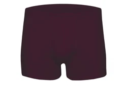 wobera NATUR Thermounterhose Boxershort Herrenunterhose 