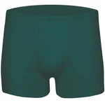 wobera NATUR Thermounterhose Boxershort Herrenunterhose Dunkelgrün/Grün/Türkis