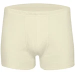 wobera NATUR Thermounterhose Boxershort Herrenunterhose 