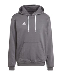 adidas Performance Sweatshirt Entrada 22 Hoody dunkelgrau / weiß