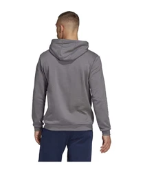 adidas Performance Sweatshirt Entrada 22 Hoody dunkelgrau / weiß