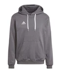 adidas Performance Sweatshirt Entrada 22 Hoody dunkelgrau / weiß