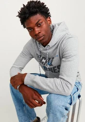 Jack & Jones Kapuzensweatshirt JCOBLACK SWEAT HOOD CH Hellblau/Blau/Grau/Hellgrau/Silber