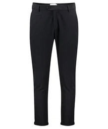 Stoffhose Herren Anzughose Regular Fit (1-tlg)