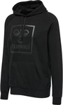 hummel Kapuzenpullover Sweatshirt 