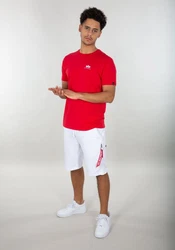 Alpha Industries T-Shirt Backprint T Rot/Dunkelrot