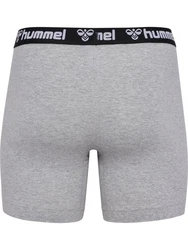 hummel Boxershorts hmlBoxers 2-Pack Grau (5847)