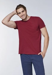 Chiemsee Print-Shirt T-Shirt (1) Bordeaux/Dunkelrot/Rot