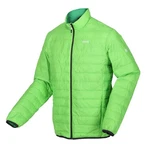 Regatta Funktionsjacke Hillpack Grün/Neonfarben
