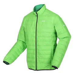 Regatta Funktionsjacke Hillpack Grün/Neonfarben