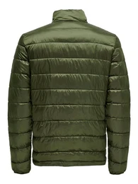 Blouson Legere Steppjacke Einfarbig Dnn Geftterte bergangsjacke 6629 in Olive