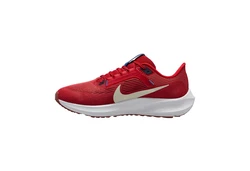 Nike PEGASUS Laufschuh Rot/Dunkelrot