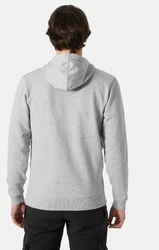 Helly Hansen Kapuzenpullover Classic Zip Hoodie Hellgrau/Grau