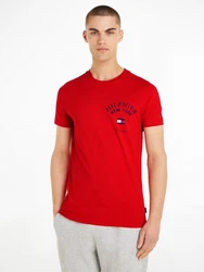Tommy Hilfiger T-Shirt ARCH VARSITY TEE 